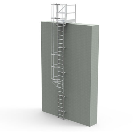 Echelle à crinoline de 2.00m à 2.50m avec palier de sortie haut de 0.80m - CS25-CPSH-080-CVAP (1/5)