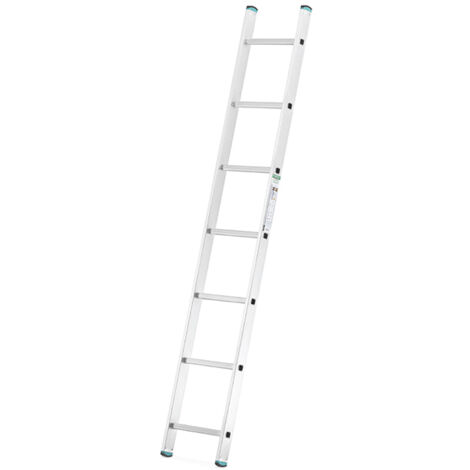 Alve – Échelle simple 11 échelons – Hauteur 2,95 m – Charge maximale 150 kg – Pieds et barreaux antidérapants pour sécurité