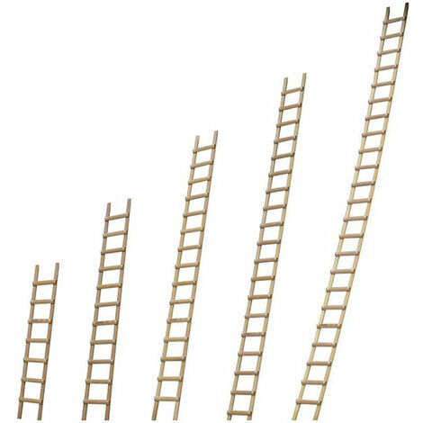 Echelle de toit en bois - Ecartement des barreaux 25cm - Longueur 5.50m - B3155025