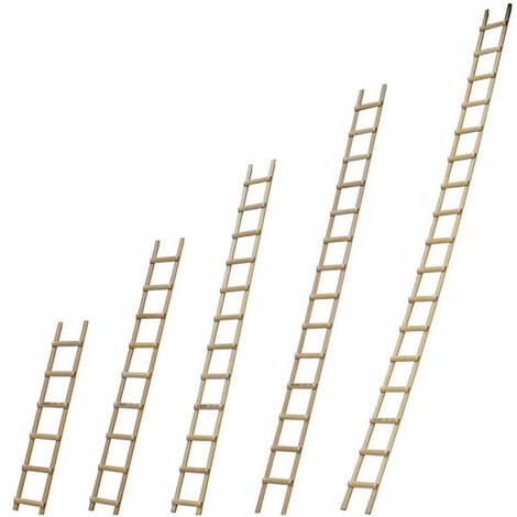 Echelle de toit en bois - Ecartement des barreaux 33cm - Longueur 6.00m - B3160033