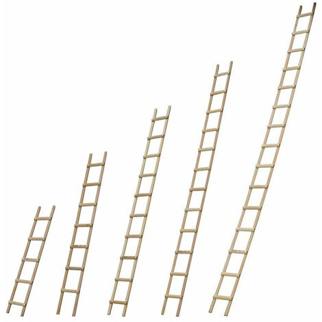 Echelle de toit en bois - Ecartement des barreaux 33cm - Longueur 6.00m - B3160039