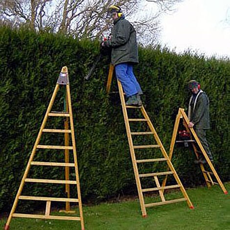 Echelle fruitière bois 3 barreaux - Hauteur max. de travail 2.33m - EDC150
