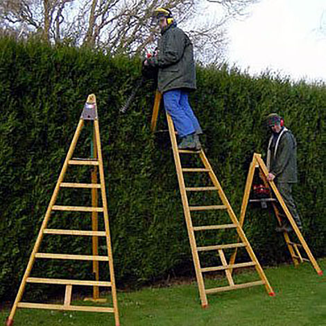 Echelle fruitière bois 7 barreaux - Hauteur max. de travail 3.33m - EDC250