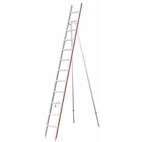 Echelle fruitière 14 barreaux - Hauteur de cueillette maximale 4.91m - 3049/14