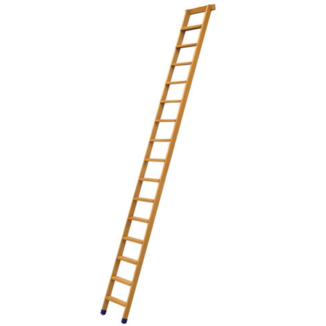 Echelle de meunier 11 marches - Hauteur d'accès 2.78m - BSMAG-FR-300