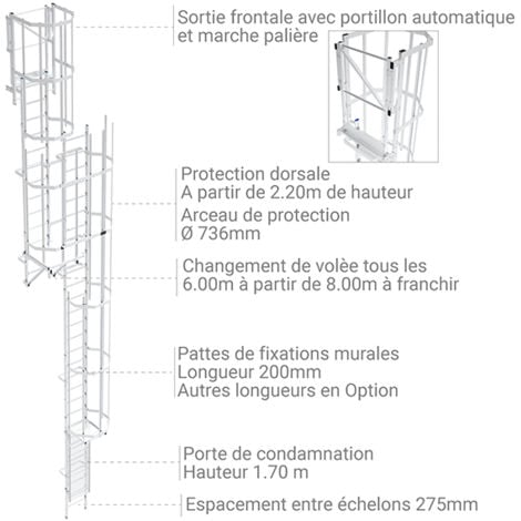 Echelle Bois - Longueur. 2.20M - 8 Marches : : Bricolage