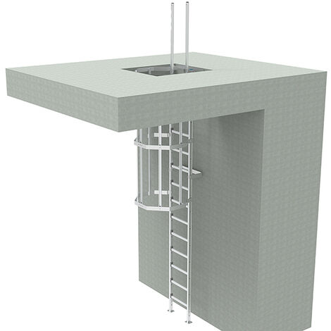 Echelle à crinoline de 4.50m avec crosse pour sortie sous plafond ou skydome - CS/2SD/450
