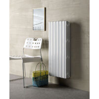 Radiateur fonte rideau - Hauteur 880mm - Longueur 300mm - 538 watt - 5 éléments - E388/5
