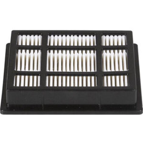 Filtre HEPA H10 pour aspirateur NILFISK Coupé Néo (1/6)
