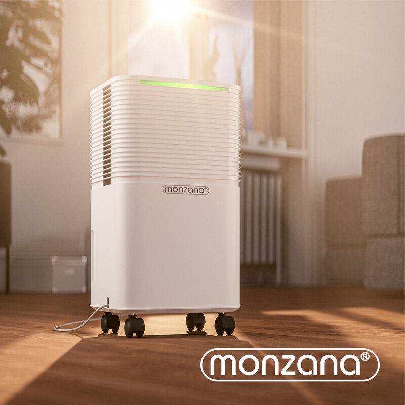 MONZANA® Déshumidificateur d'air 15-20m² 12L/jour Purificateur d'air pour  personnes allergiques Ecran LED Minuterie 24h salle de bain appartement