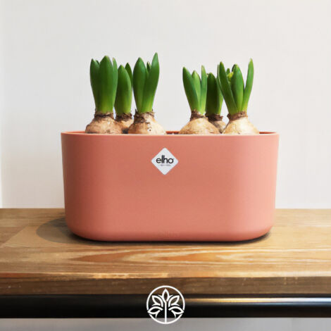 VERDENIA Karo Lot De 2 Pots De Fleurs Ronds, Légers, Pour L'intérieur Et L' Extérieur, Design Moderne, Matériau En Plastique De Qualité Supérieure, 17,5 X 17,5 X 15,3 Cm, Blanc