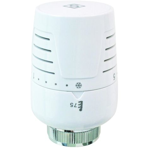 SOMATHERM FOR YOU - Tête thermostatique à dilatation liquide T302 - confort (1/2)