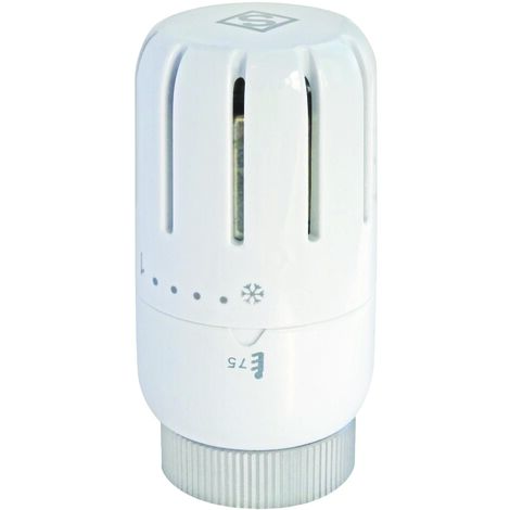 Somatherm For You – Tête thermostatique à dilatation liquide T301 – Raccord M30x1.5 – Plage de réglage 6°C à 28°C – Temps de réponse 23 min (1/2)