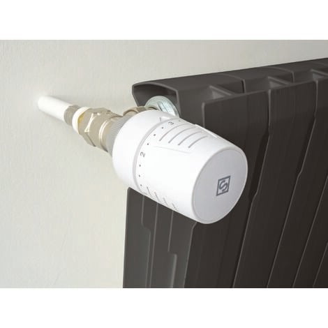 Robinet thermostatique confort T302 équerre 20x27 (3/4")