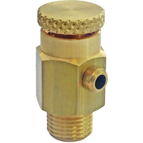Purgeur d'air M5x10 (1/8") à pointeau et volant molette (1/2)
