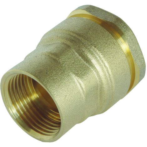 Raccord laiton droit SUMO pour tube PE Ø25 mm - Femelle 1