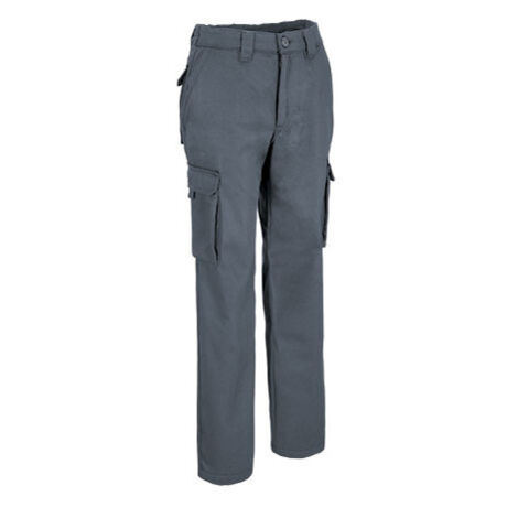 Pantalón de trabajo multibolsillos, térmico con polar interior VALENTO BERGAMO XXL Gris cemento (1/5)