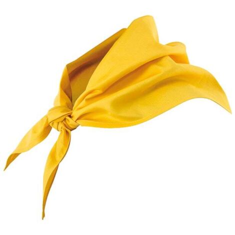 Pico Amarillo U