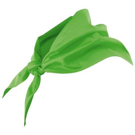Pico VERDE LIMA U