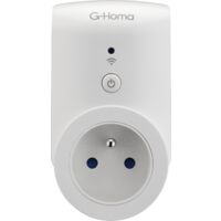 Prise programmable extérieure G-Homa Smart plug