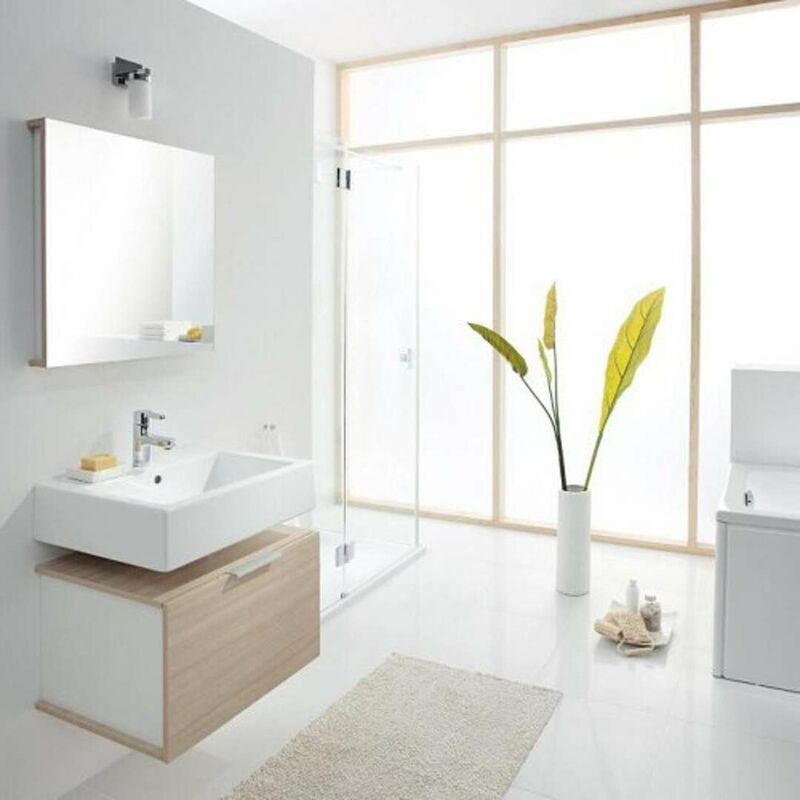 Lavabo bagno Geberit Closer con bacino ovale 50 cm > lavabo e sifone basic