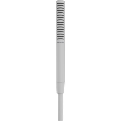 hansgrohe Pulsify S Douche à main 100, 1 type de jet, économie