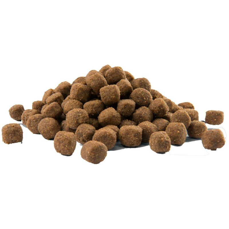 UNIQ Dog - Croquettes Chiens toutes tailles - sans céréales, Poulet, Porc,  Poisson - UNIQ and Co