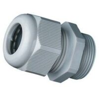 Prensaestopas PG21 sin contratuerca - Poliamida - IP68 - Gris
