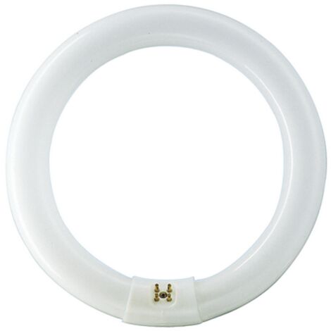 Philips 559562 Bulb G10Q TL-E Circular 32W/33-640 1CT/12 2050lm