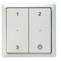 Cicogna RFZ 655000755 - Telecomando RFZ