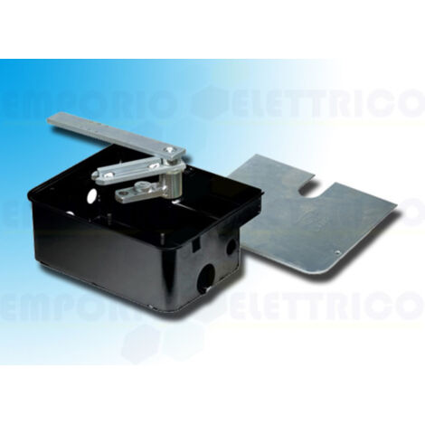 CAME 001FROG-CFN FROG foundation box in cataphoretic-treated steel