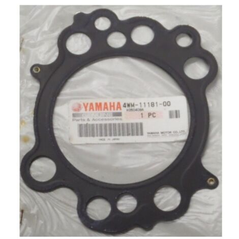 OVERSEE 63V 11181 A1 00 GASKET,Cylnder Gasket Replaces For 9.9HP 15HP