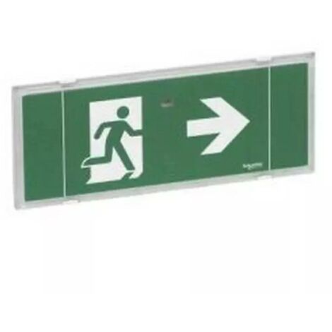 Schneider OVA58000 - SATI PYROS ESI EV security lighting unit IP42 ACT ...