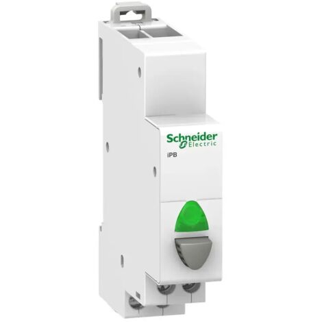 Modularer Taster 20A 1Z mit grüner Kontrollleuchte iBP A9E18036