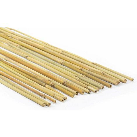 Canne in Bambu 22/24 Cm 150 Set 2 Pezzi Verdelook 