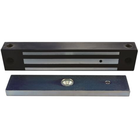 Ventouse EM applique IP 67 acier inox 800 lbs 12/24V DC Contact Hall (1/3)