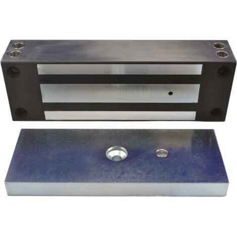 Ventouse EM applique IP 67 acier inox 1200 lbs 12/24V DC Contact Hall (1/3)