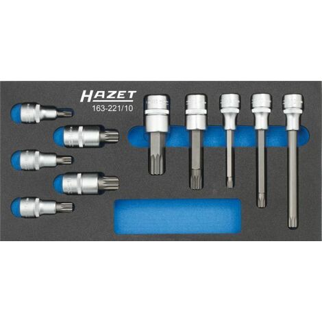 Hazet Schraubendreher-Steckschlüsseleinsatz-Satz - Vierkant hohl 12,5 mm (1/2 Zoll) - Innen Vielzahn Profil XZN - Anzahl Werkzeuge: 10 - 163-221/10