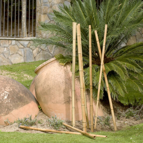 TUTOR DECORATIVO BAMBOO DECO 60-70 MM 2.4 M NORTENE