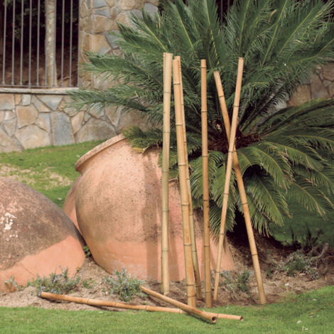 TUTOR DECORATIVO BAMBOO DECO 35-40 MM 2.4 M NORTENE