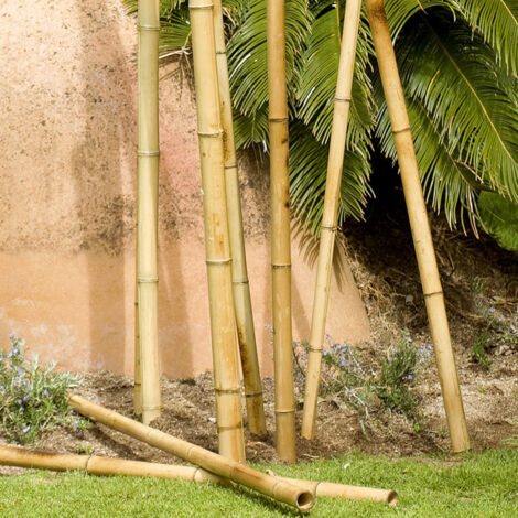 TUTOR DECORATIVO BAMBOO DECO 35-40 MM 1.8 M NORTENE