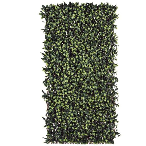 CELOSIA EXTENSIBLE TRELLIBAMBU BICOLOR 1X2 M NORTENE
