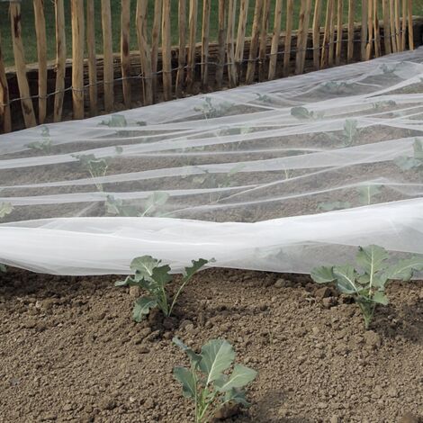 MALLA ANTIINSECTOS BIOCONTROL TRANSPARENTE NORTENE 2,20X10 M