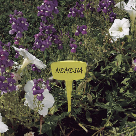 Juego de 16 etiquetas de plantación multicolores NORTENE, H. 15 cm Nortene (1/5)