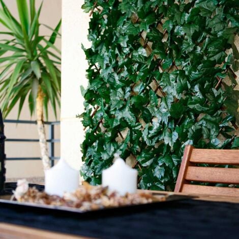 CELOSIA EXTENSIBLE CON HOJAS BASIC 1X3 M