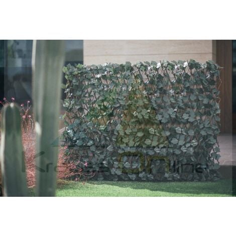 CELOSIA EXTENSIBLE CON HOJAS BASIC 1X3 M