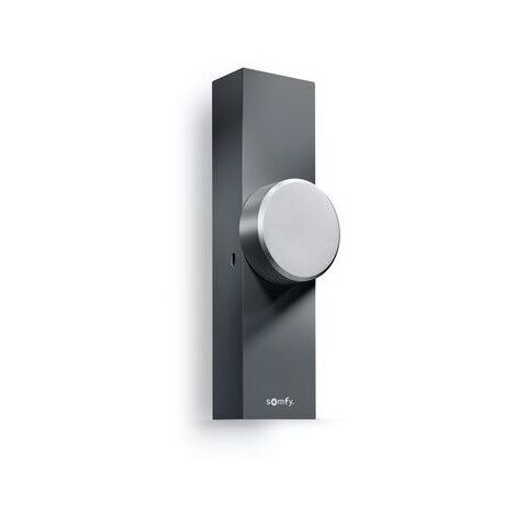 Somfy – Serrure motorisée connectée pour porte d'entrée – Technologie IntelliTag – Contrôle à distance via smartphone – Gris anthracite