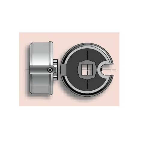 Embout sans axe pour tube diam. 63 pour PHOENIX SOMFY (1/2)