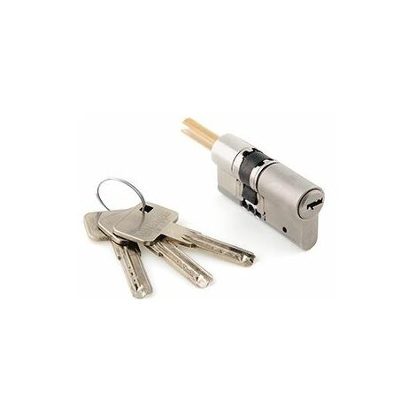 Somfy – Cylindre de serrure sécurisé 7cm – 3 clés métalliques – Anti-casse, anti-arrachement, anti-perçage – Pour serrure connectée (1/2)