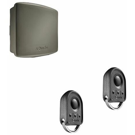 Somfy – Récepteur radio étanche RTS avec 2 télécommandes Keygo – Alimentation 24V – Commande jusqu'à 16 canaux – Pour motorisation efficace